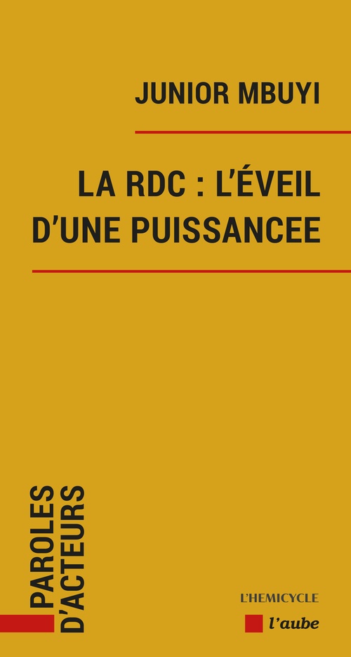 Couverture ebook de Une superpuissance en devenir, de Junior Mbuyi