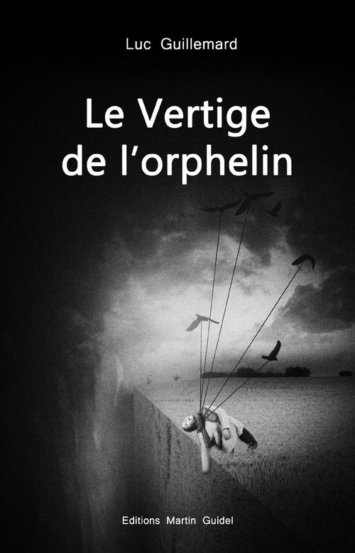 ebook cover of Le Vertige de l'orphelin, by Luc Guillemard