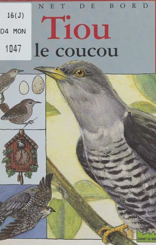 Couverture ebook de Tiou le coucou, de Pierre Baldurinos