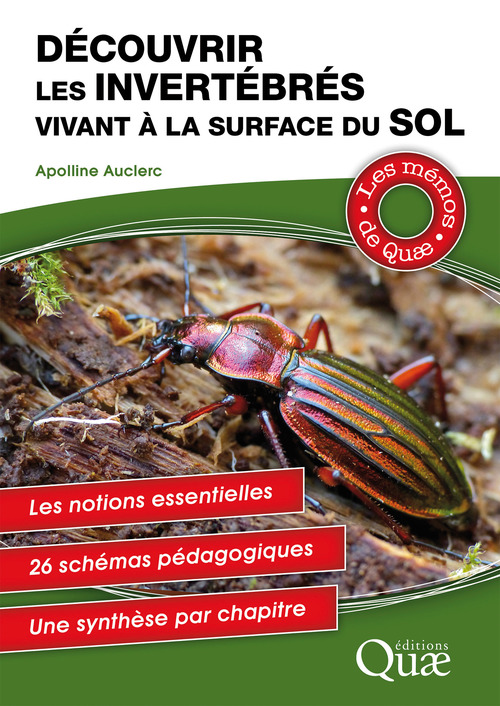 ebook cover of Découvrir les invertébrés vivant à la surface du sol, by Apolline Auclerc