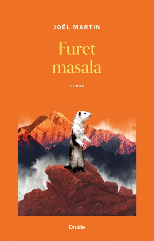 ebook cover of Furet masala, by Joël Martin