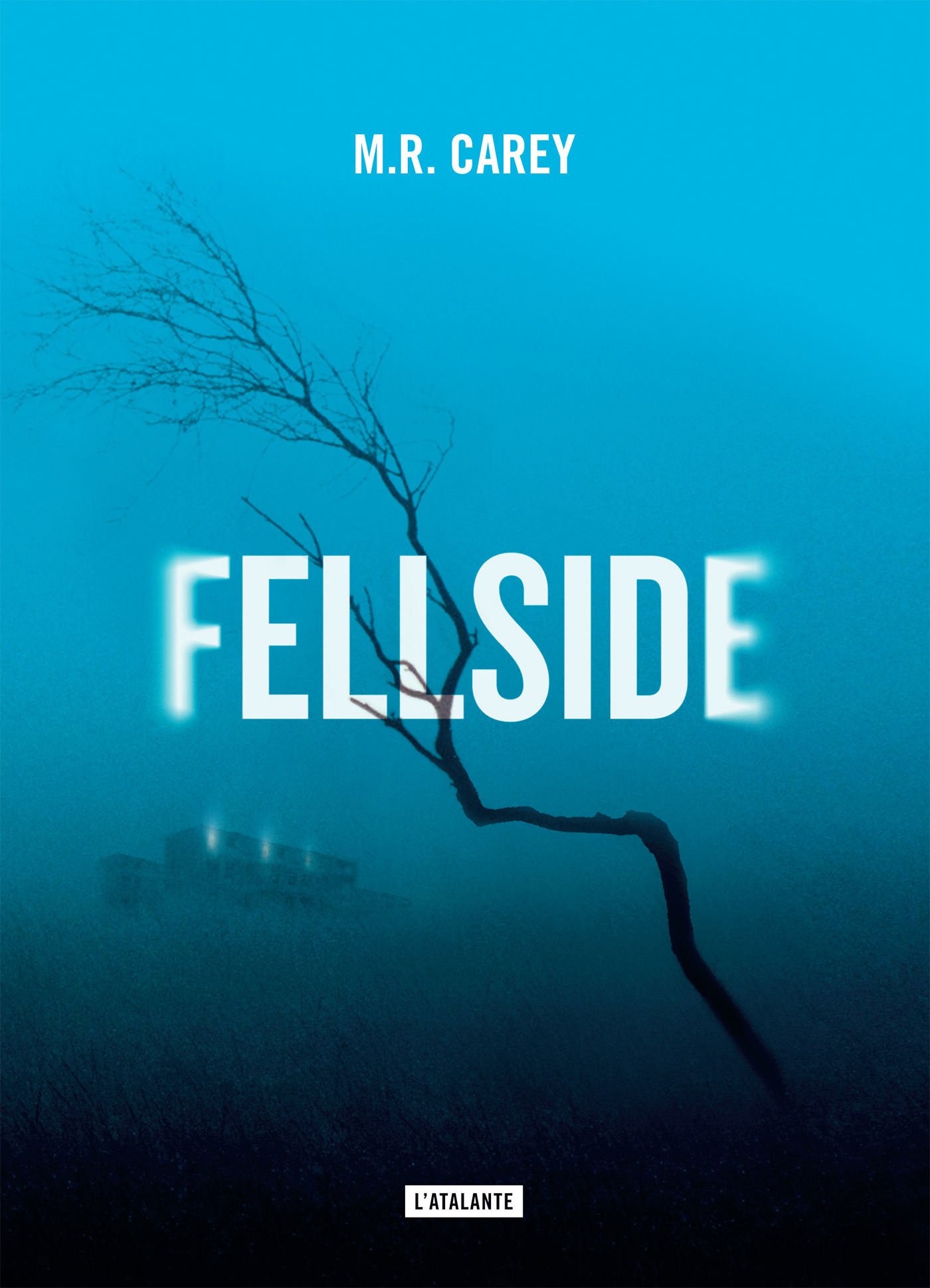 ebook cover of Fellside, by Mike Carey, Nathalie Mege