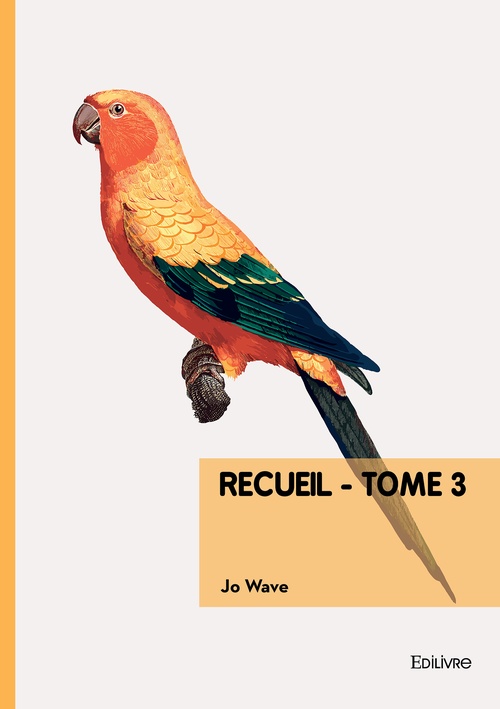 Couverture ebook de Recueil, de Jo Wave