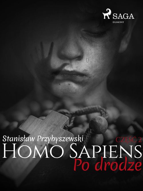 ebook cover of Homo Sapiens 2: Po drodze, by Stanislaw Przybyszewski