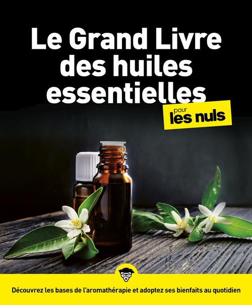 ebook cover of Le Grand Livre des Huiles essentielles Pour les Nuls NE - Découvrez les bases de l'aromathérapie et adoptez les bienfaits au quotidi, by Elske Miles