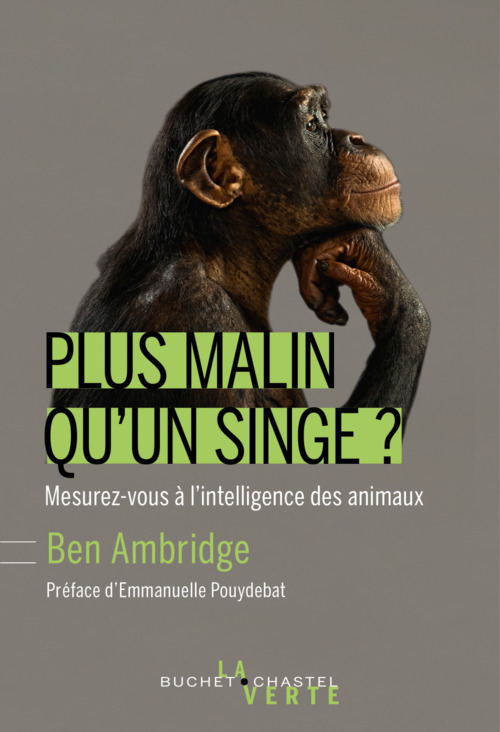 ebook cover of Plus malin qu'un singe ?, by Ben Ambridge