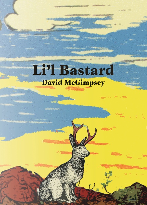 Couverture ebook de Li'l Bastard, de David Mcgimpsey
