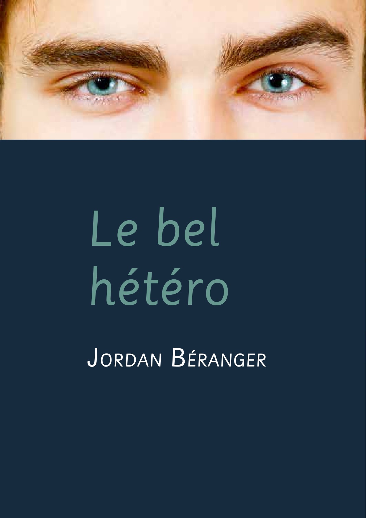 ebook cover of Le bel hétéro (roman gay), by Jordan Béranger