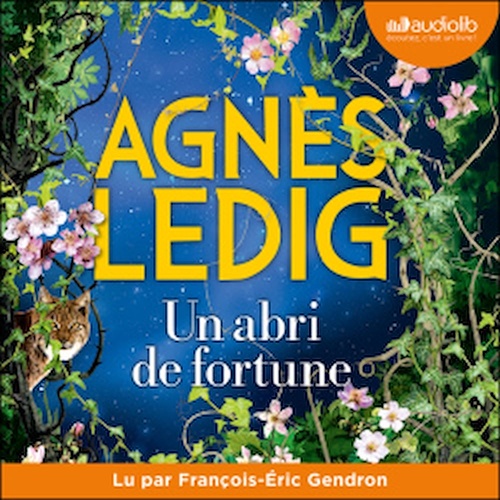 audiobook cover of Un abri de fortune, by Agnès Ledig