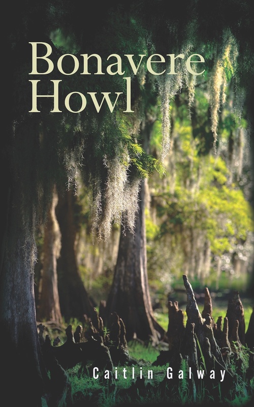 Couverture ebook de Bonavere Howl, de Caitlin Galway