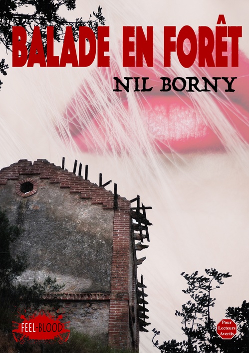 Couverture ebook de BALADE EN FORÊT, de Nil Borny