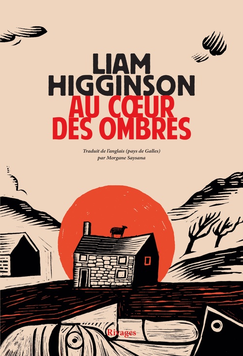 Couverture ebook de Au coeur des ombres, de Liam Higginson