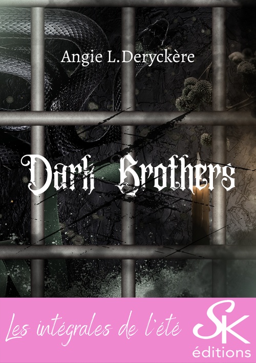 Couverture ebook de Dark Brothers - L'intégrale, de Angie L. Deryckère