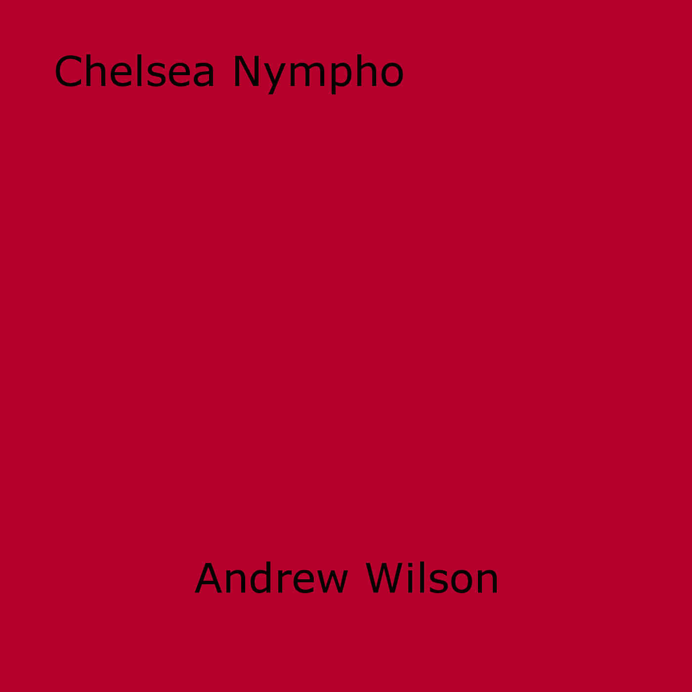 Couverture ebook de Chelsea Nympho, de Andrew Wilson