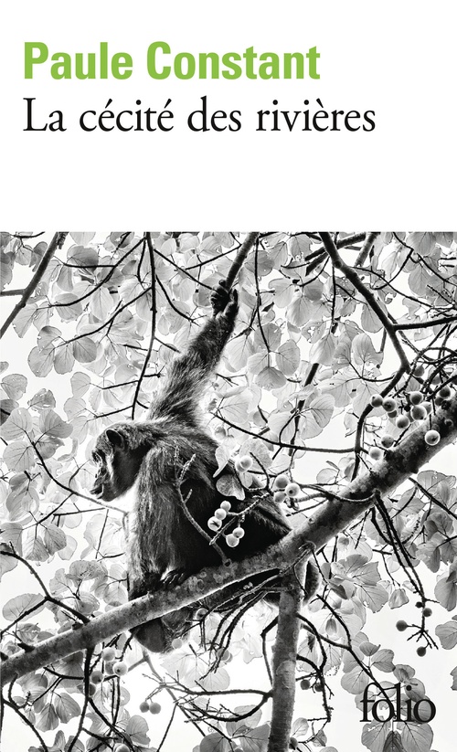 Couverture ebook de La cécité des rivières, de Paule Constant