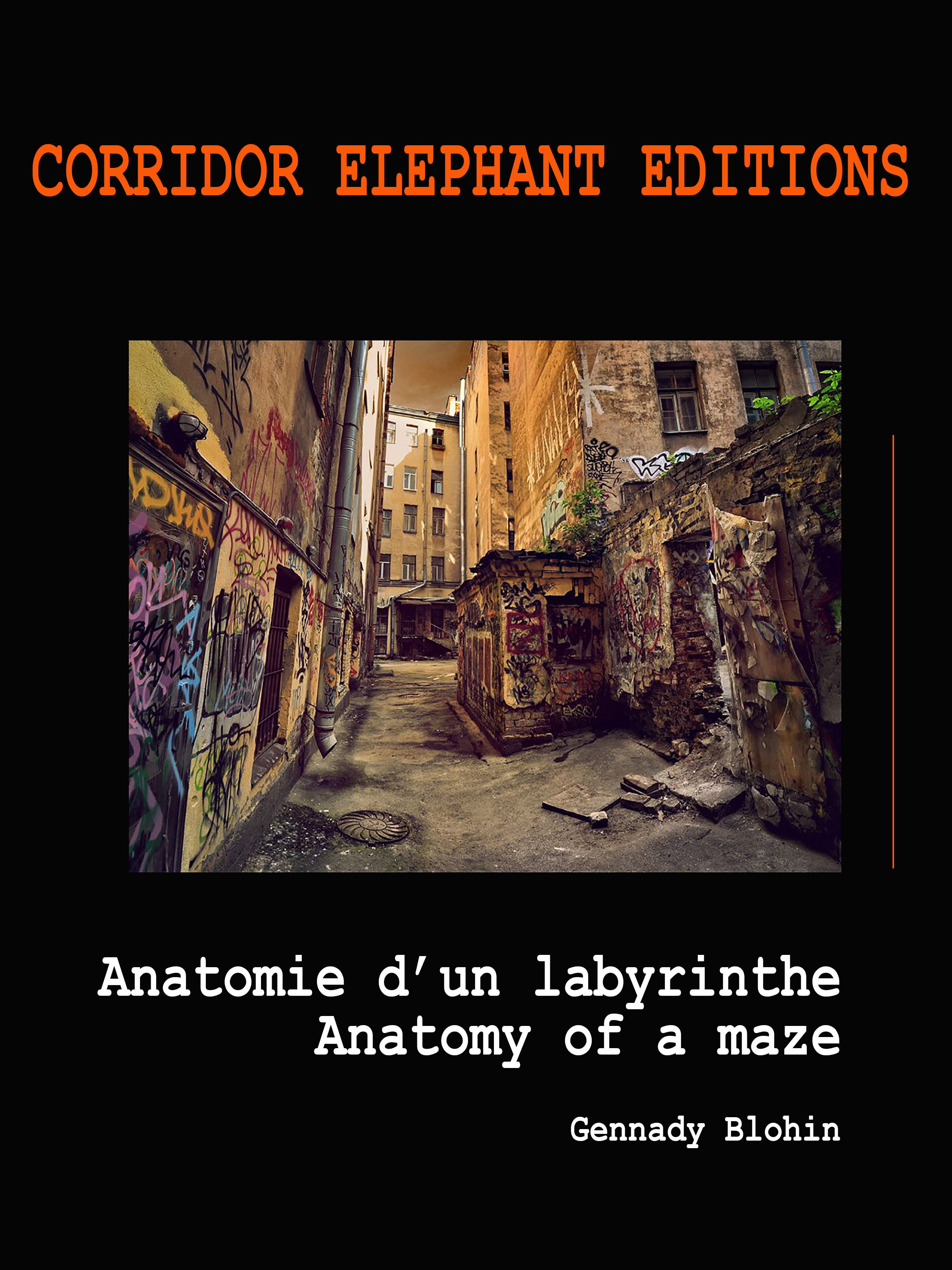 ebook cover of Anatomie d'un labyrinthe, by Gennady Blohin