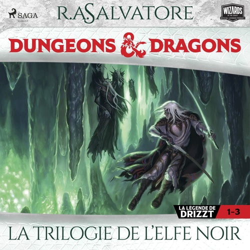 audiobook cover of Compilation Dungeons & Dragons 1-3: La Trilogie de l´Elfe Noir, by R.A. Salvatore