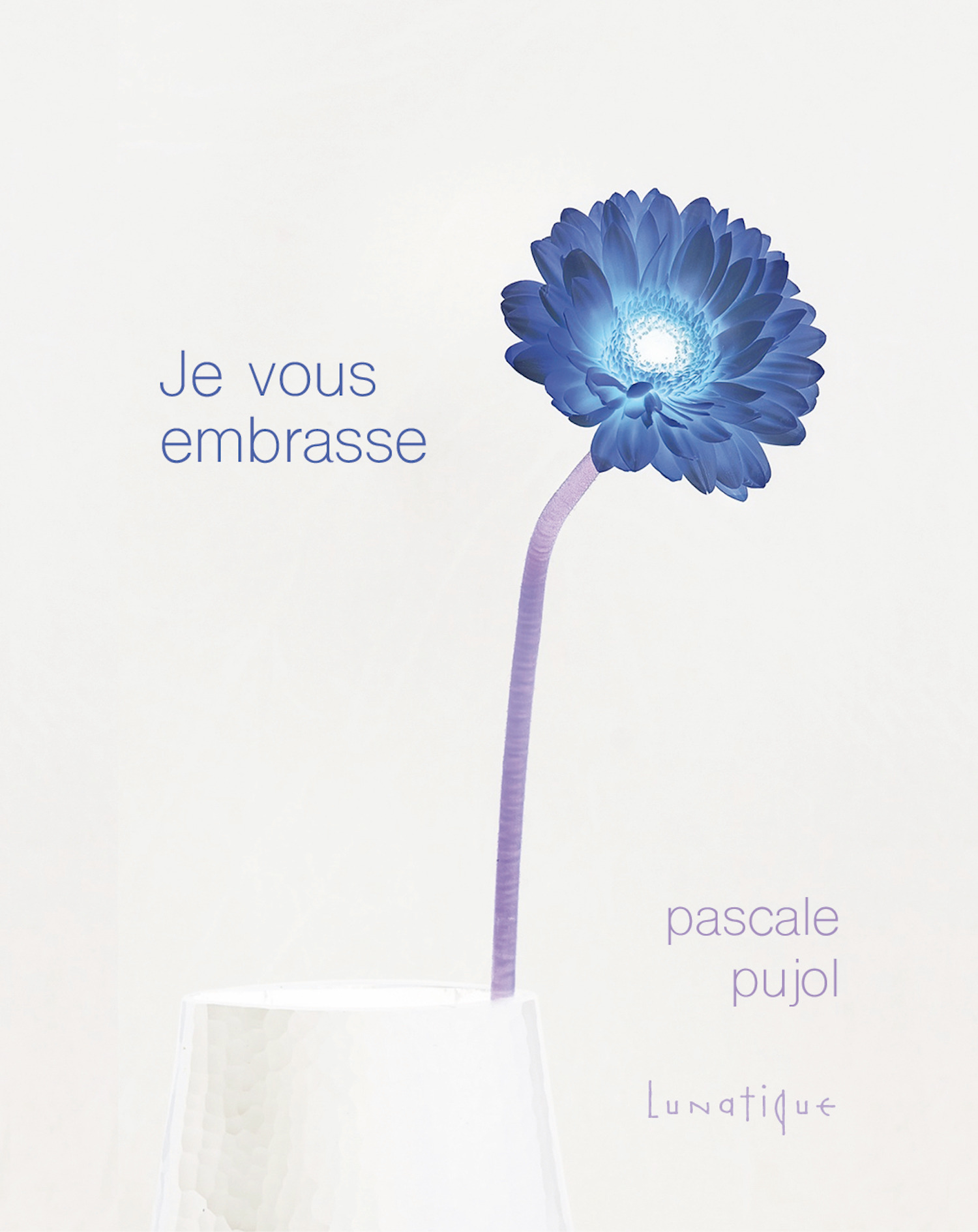 Couverture ebook de Je vous embrasse, de Pascale Pujol