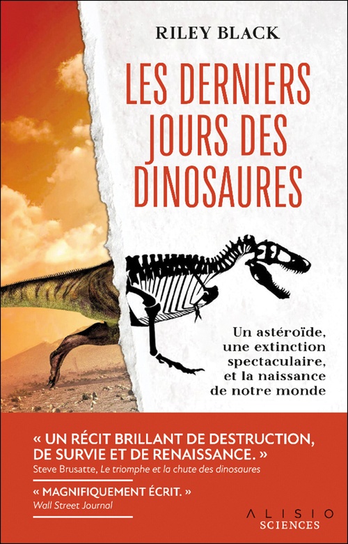 ebook cover of Les derniers jours des dinosaures, by Riley Black