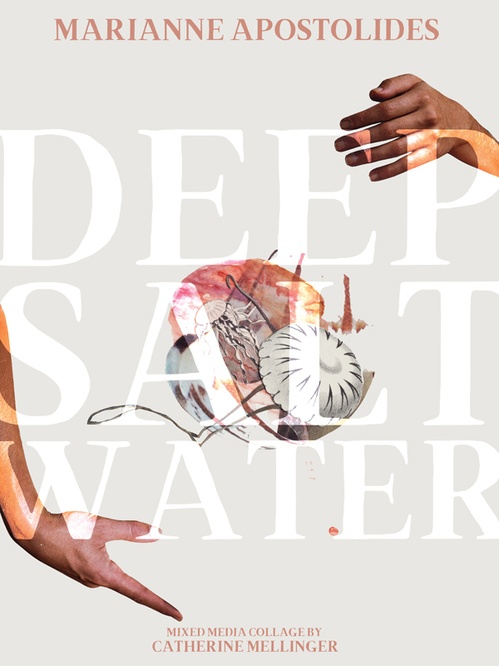 ebook cover of Deep Salt Water, by Marianne Apostolides