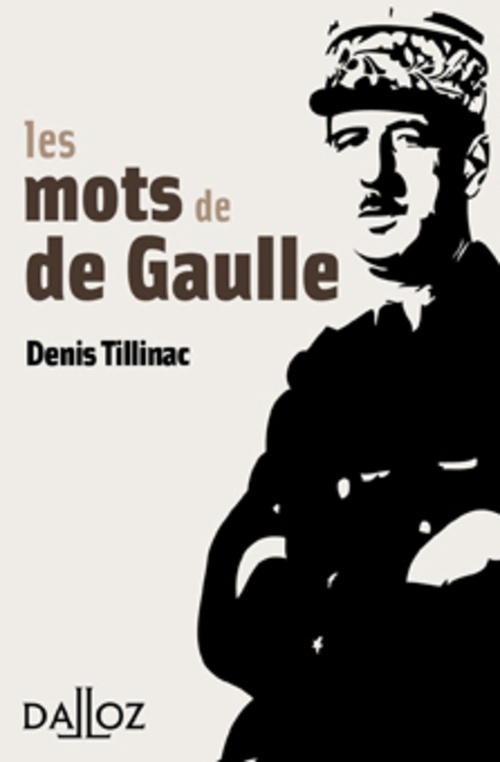 Couverture ebook de Les mots de de Gaulle, de Denis Tillinac