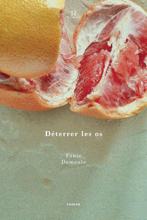 Couverture ebook de Déterrer les os, de Demeule Fanie