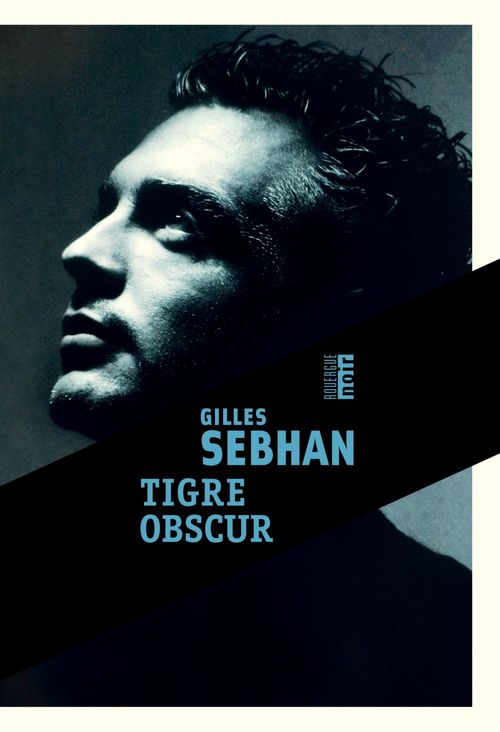 ebook cover of Tigre obscur, by Gilles Sebhan