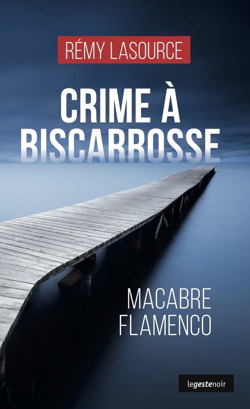 ebook cover of Crime a Biscarrosse, by Rémy Lasource
