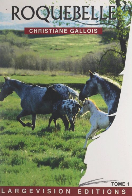 Couverture ebook de Roquebelle (1), de Christiane Gallois
