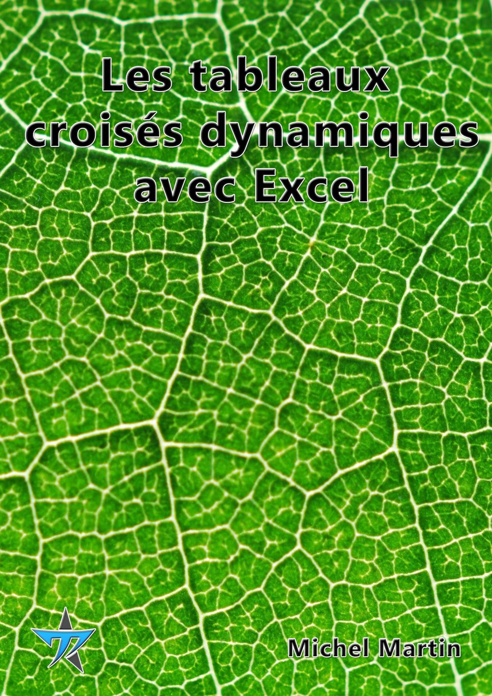 ebook cover of Tableaux croisés dynamiques, by Michel Martin