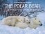 Couverture ebook de The Polar Bear, de Michel Grandmaison