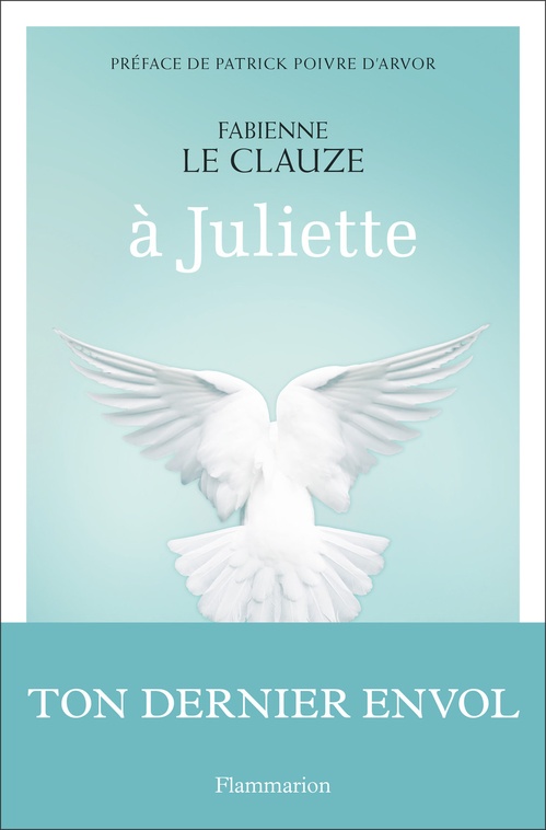 Couverture ebook de À Juliette, de Fabienne Le Clauze