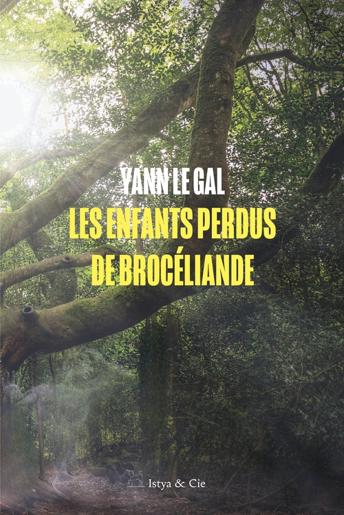 ebook cover of Les enfants perdus de Brocéliande, by Yann Le Gal
