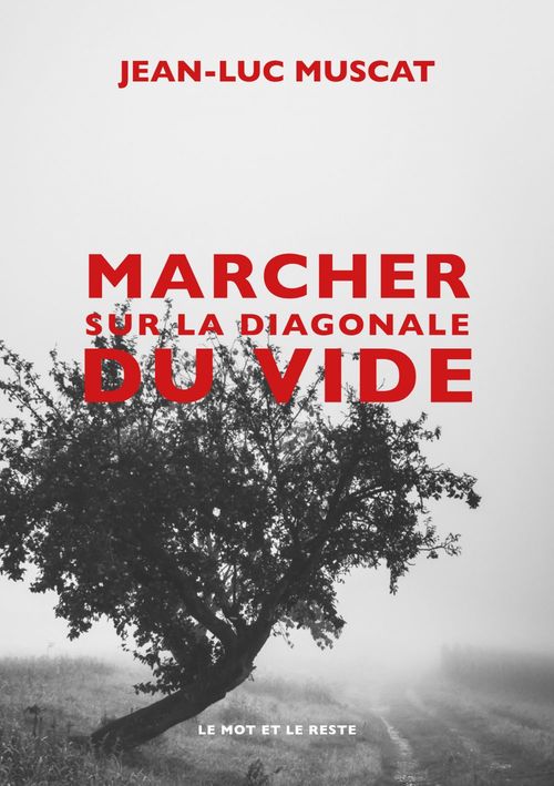 Couverture ebook de Marcher sur la diagonale du vide, de Jean-Luc MUSCAT