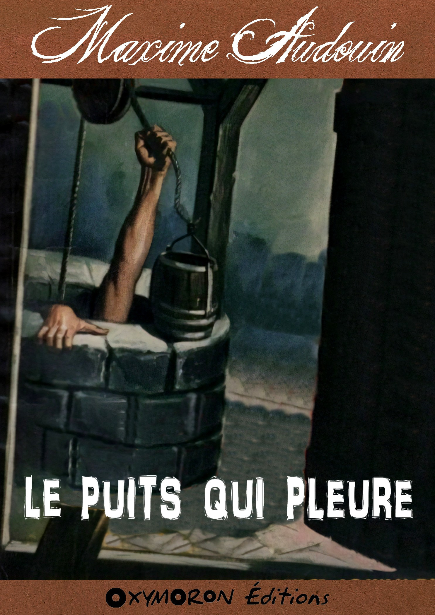 ebook cover of Le puits qui pleure, by Maxime Audouin