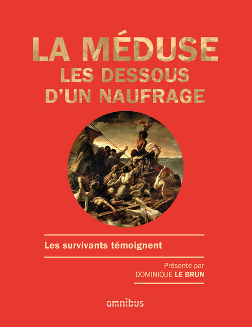 ebook cover of La Méduse - Les dessous d'un naufrage, by Dominique Le Brun
