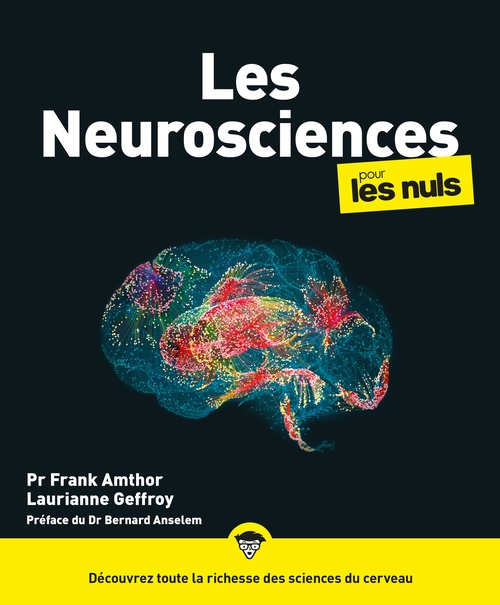 ebook cover of Les neurosciences pour les Nuls, grand format, by Franck Amthor, Laurianne Geffroy