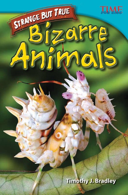 Couverture ebook de Straight Talk: Bizarre Animals, de Timothy J. Bradley, Timothy Bradley