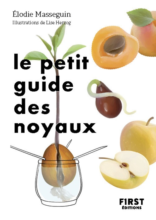 ebook cover of Le Petit Guide des noyaux, by Élodie Masseguin