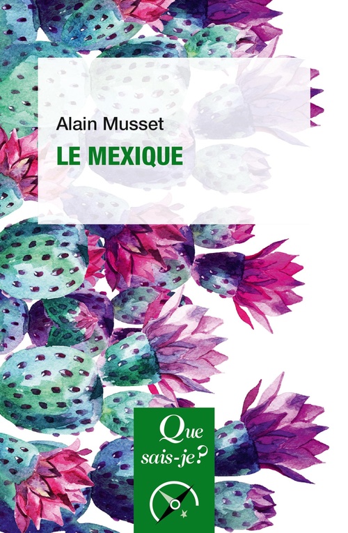 ebook cover of Le Mexique, by Alain Musset