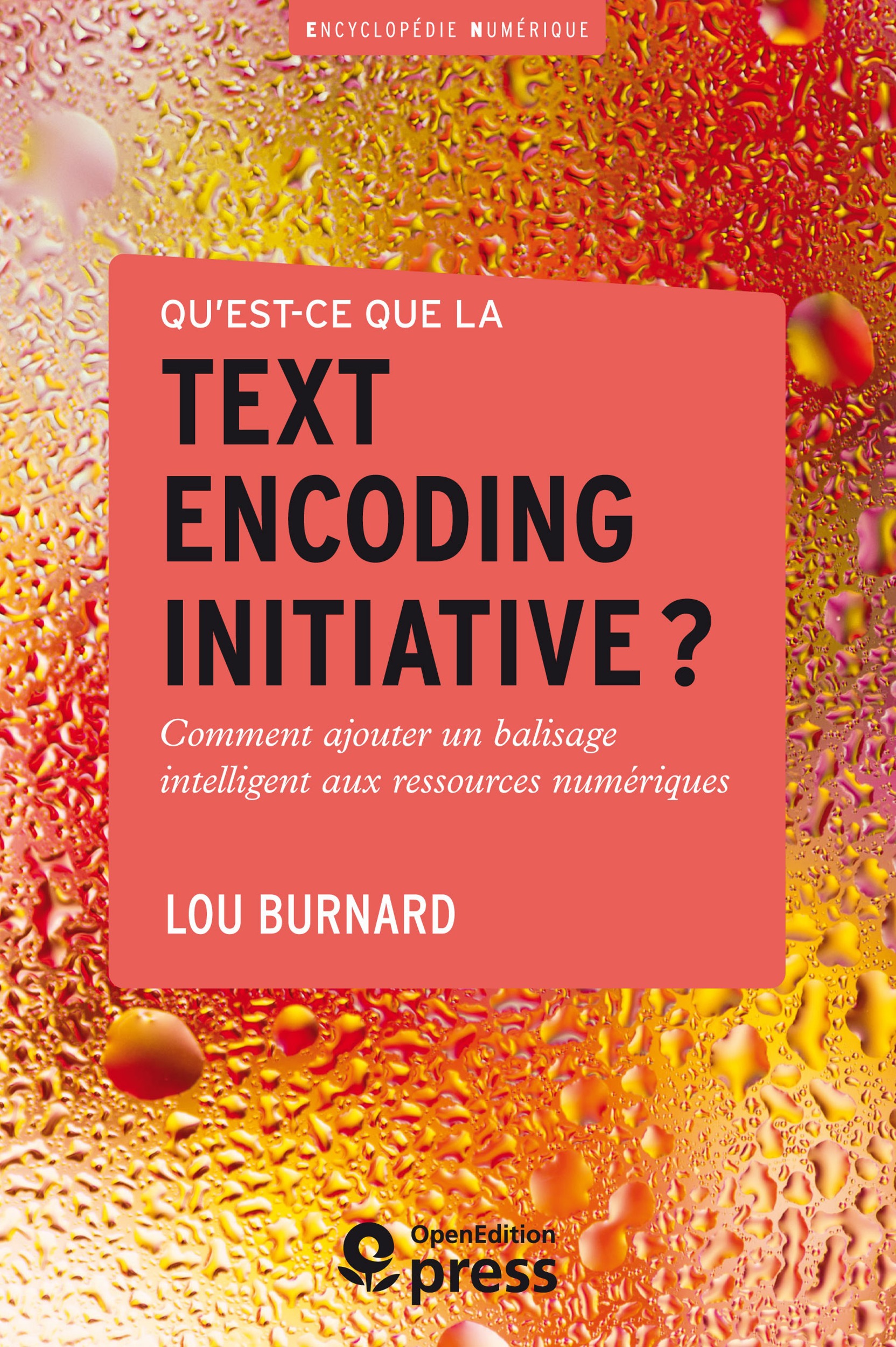ebook cover of Qu´est-ce que la Text Encoding Initiative ?, by Lou Burnard