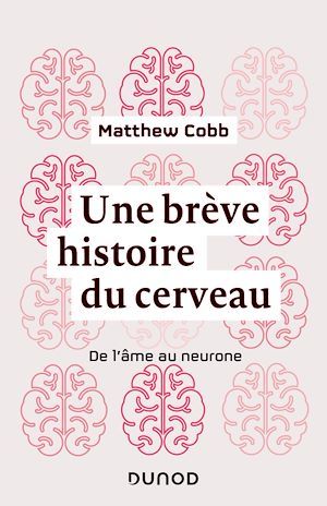 Couverture ebook de Une brève histoire du cerveau, de Matthew Cobb