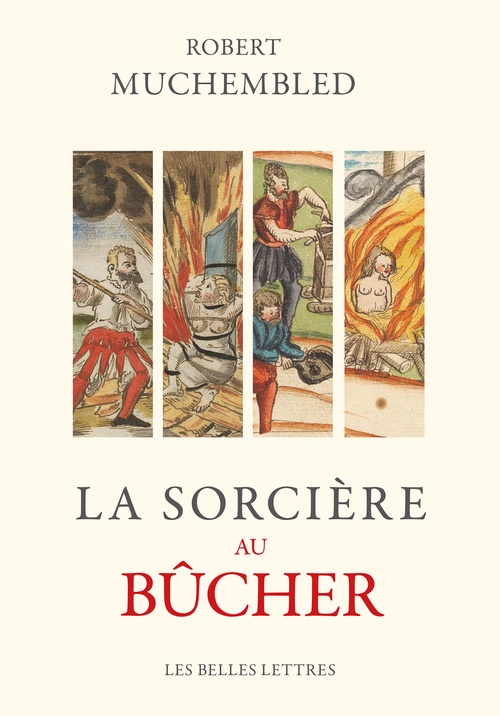 ebook cover of La Sorcière au bûcher, by Robert Muchembled
