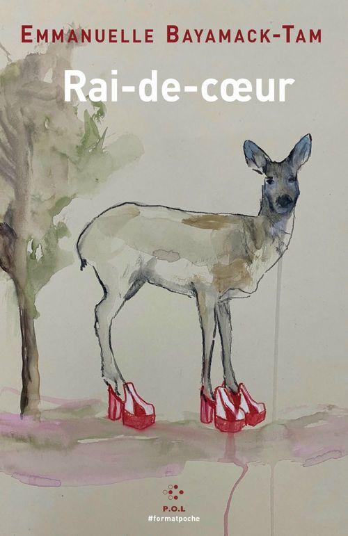 Couverture ebook de Rai-de-coeur, de Emmanuelle Bayamack-Tam