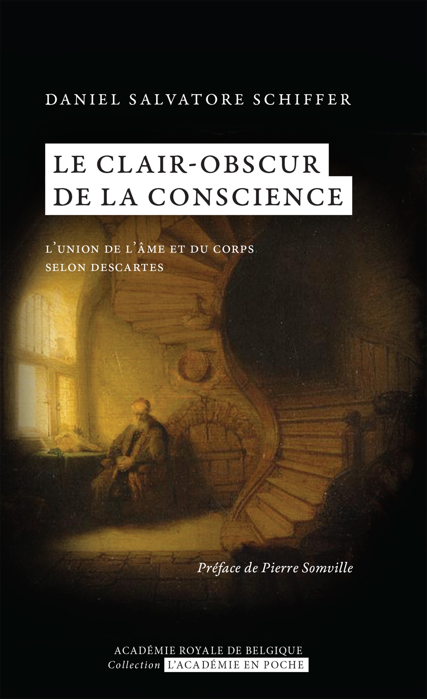 ebook cover of Le clair-obscur de la conscience, by Daniel Salvatore Schiffer