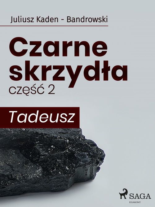 ebook cover of Czarne skrzydla 2 - Tadeusz, by Juliusz Kaden Bandrowski