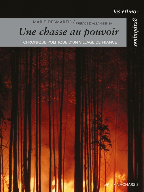 ebook cover of Une chasse au pouvoir, by Marie Desmartis