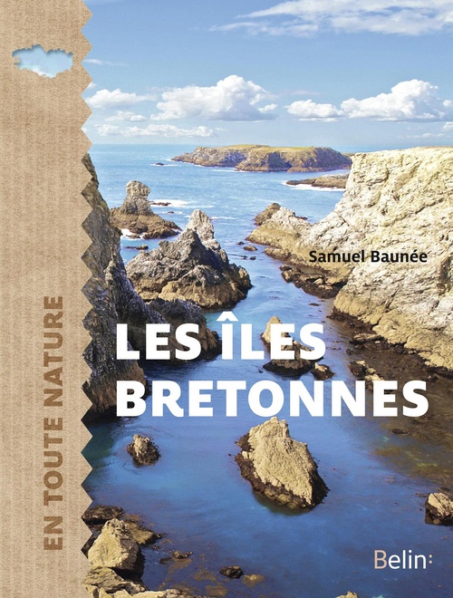 ebook cover of Les îles bretonnes, by Samuel Baunée