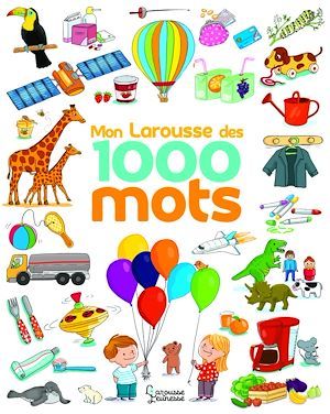 Couverture ebook de Le Larousse des 1 000 mots NE, de Caroline Modeste