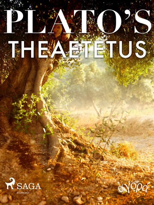 ebook cover of Plato´s Theaetetus, by - Plato